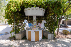 Multi-Use Cake Stand Rental – Elegant Display with Optional Carousel Horses